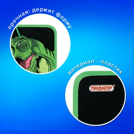 Папка для труда на молнии с ручками ПИФАГОР А4, 1 отделение, пластик, органайзер, "Dino roar", 272230