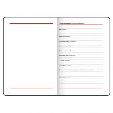 Ежедневник недатированный А5 (138х213 мм), BRAUBERG VISTA, под кожу, гибкий, фольга, 136 л., "Black", 112036 Ежедневник недатированный А5 (138х213 мм), BRAUBERG VISTA, под кожу, гибкий, фольга, 136 л., "Black", 112036