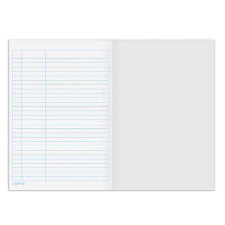 Книга учета 48 л., пустографка, обложка из мелованного картона, блок офсет, А4 200х290 мм, STAFF, 130212