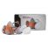 Комплект защитный Jeta Safety 6500 (перчатки, полумаска, фильтр, предфильтр, держатель), размер М, J-SET6500-M Комплект защитный Jeta Safety 6500 (перчатки, полумаска, фильтр, предфильтр, держатель), размер М, J-SET6500-M