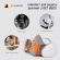 Комплект защитный Jeta Safety 6500 (перчатки, полумаска, фильтр, предфильтр, держатель), размер М, J-SET6500-M Комплект защитный Jeta Safety 6500 (перчатки, полумаска, фильтр, предфильтр, держатель), размер М, J-SET6500-M