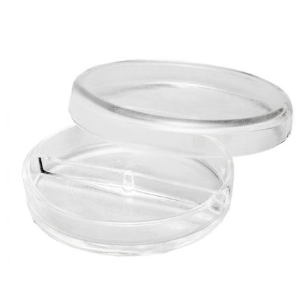 Чашка Петри стекло, ЧМ, 100x20 мм, 2-секц. 12 шт/уп 11000242 Чашка Петри стекло, ЧМ, 100x20 мм, 2-секц. 12 шт/уп 11000242