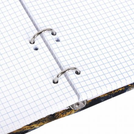 Тетрадь на кольцах А5 175х215 мм, 120 листов, твердый картон, фольга, клетка, BRAUBERG, "Marble", 404719 Тетрадь на кольцах А5 175х215 мм, 120 листов, твердый картон, фольга, клетка, BRAUBERG, "Marble", 404719