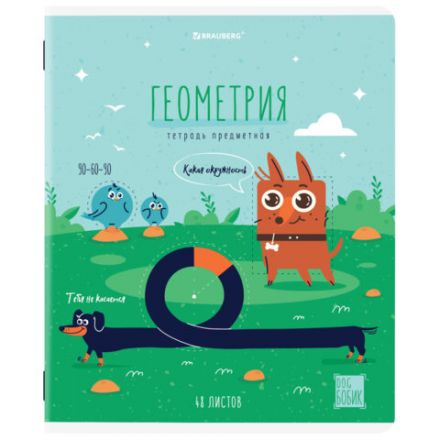 Тетради предметные, КОМПЛЕКТ 12 ПРЕДМЕТОВ, 48 л., TWIN-лак, BRAUBERG, "DOG БОБИК", 404840