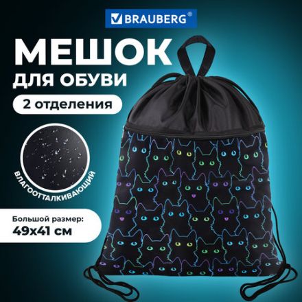 Мешок для обуви BRAUBERG БОЛЬШОЙ, с ручкой, карман на молнии, сетка, 49х41 см, "Cats", 271059