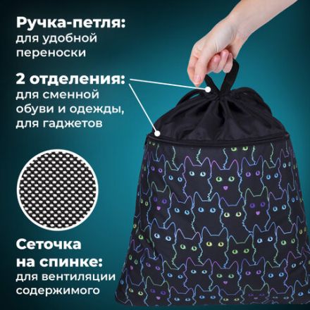 Мешок для обуви BRAUBERG БОЛЬШОЙ, с ручкой, карман на молнии, сетка, 49х41 см, "Cats", 271059