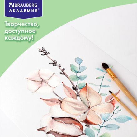 Папка для акварели БОЛЬШАЯ А3, 10 л., 180 г/м2, 297х420 мм, BRAUBERG АКАДЕМИЯ, "Дружба", 117740 Папка для акварели БОЛЬШАЯ А3, 10 л., 180 г/м2, 297х420 мм, BRAUBERG АКАДЕМИЯ, "Дружба", 117740
