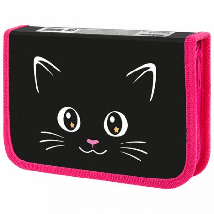 Пенал ПИФАГОР, 1 отделение, ламинированный картон, 19х11 см, "Dark kitten", 273467 Пенал ПИФАГОР, 1 отделение, ламинированный картон, 19х11 см, "Dark kitten", 273467