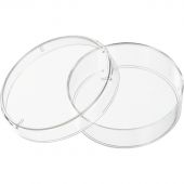 Чашка Петри 35 мм ПС, стерильная (10шт/уп) Италия Чашка Петри 35 мм ПС, стерильная (10шт/уп) Италия