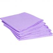 Простыня одноразовая Чистовье Люкс нестерильная 200х70 см спанбонд (сиреневая, плотность 30 г, 10 штук в упаковке)