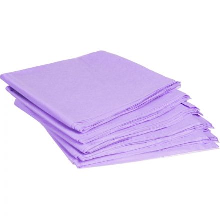 Простыня одноразовая Чистовье Люкс нестерильная 200х70 см спанбонд (сиреневая, плотность 30 г, 10 штук в упаковке)