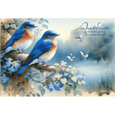 Альбом для акварели,20л.200г/м2 A4 30х20.8см,склейка,ассор,А235_01624 Альбом для акварели,20л.200г/м2 A4 30х20.8см,склейка,ассор,А235_01624