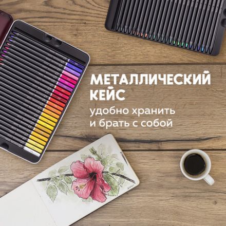 Карандаши цветные художественные BRAUBERG ART PREMIERE, НАБОР 48 цветов, 4 мм, металл кейс, 181694 Карандаши цветные художественные BRAUBERG ART PREMIERE, НАБОР 48 цветов, 4 мм, металл кейс, 181694