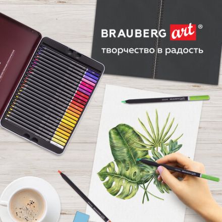 Карандаши цветные художественные BRAUBERG ART PREMIERE, НАБОР 48 цветов, 4 мм, металл кейс, 181694 Карандаши цветные художественные BRAUBERG ART PREMIERE, НАБОР 48 цветов, 4 мм, металл кейс, 181694