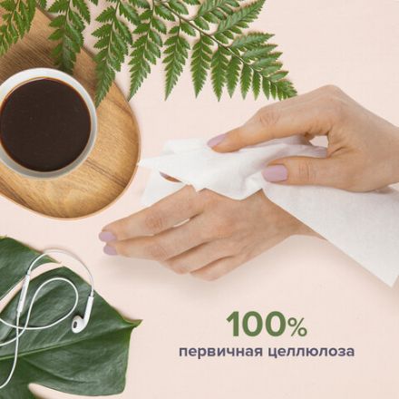 Салфетки косметические 200 шт. в картонном боксе 2-слойные, LAIMA "Everyday", 20х20 см, 113589 Салфетки косметические 200 шт. в картонном боксе 2-слойные, LAIMA "Everyday", 20х20 см, 113589