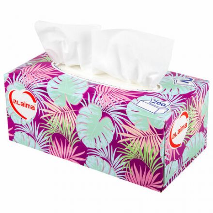 Салфетки косметические 200 шт. в картонном боксе 2-слойные, LAIMA "Everyday", 20х20 см, 113589 Салфетки косметические 200 шт. в картонном боксе 2-слойные, LAIMA "Everyday", 20х20 см, 113589