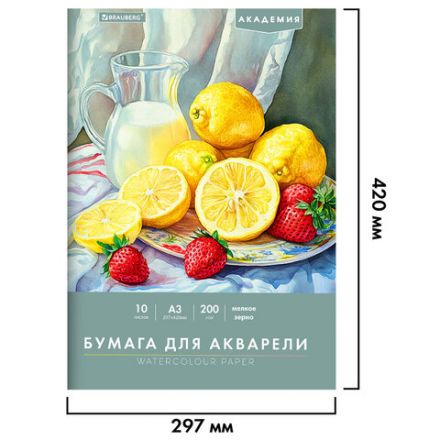 Папка для акварели БОЛЬШАЯ А3, 10 л., 200 г/м2, 297х420 мм, BRAUBERG АКАДЕМИЯ, "Летний натюрморт", 117741 Папка для акварели БОЛЬШАЯ А3, 10 л., 200 г/м2, 297х420 мм, BRAUBERG АКАДЕМИЯ, "Летний натюрморт", 117741