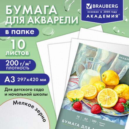 Папка для акварели БОЛЬШАЯ А3, 10 л., 200 г/м2, 297х420 мм, BRAUBERG АКАДЕМИЯ, "Летний натюрморт", 117741 Папка для акварели БОЛЬШАЯ А3, 10 л., 200 г/м2, 297х420 мм, BRAUBERG АКАДЕМИЯ, "Летний натюрморт", 117741