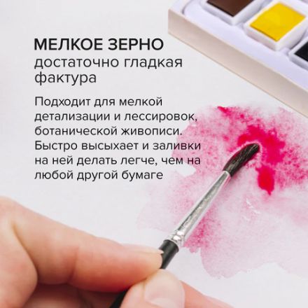 Папка для акварели БОЛЬШАЯ А3, 10 л., 200 г/м2, 297х420 мм, BRAUBERG АКАДЕМИЯ, "Летний натюрморт", 117741 Папка для акварели БОЛЬШАЯ А3, 10 л., 200 г/м2, 297х420 мм, BRAUBERG АКАДЕМИЯ, "Летний натюрморт", 117741