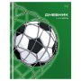 Дневник 1-4 кл., 48л., (твердый) BG "Гол", матовая ламинация, выб.лак
