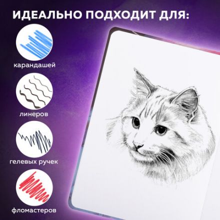 Скетчбук, белая бумага 120 г/м2, 145х203 мм, 80 л., резинка, твердый, BRAUBERG ART DEBUT "Фламинго", 114584 Скетчбук, белая бумага 120 г/м2, 145х203 мм, 80 л., резинка, твердый, BRAUBERG ART DEBUT "Фламинго", 114584