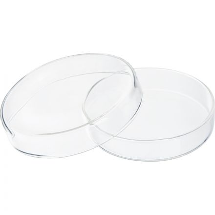 Чашка Петри 90х20, боросиликатное стекло, ТС 10шт/упак Apexlab Чашка Петри 90х20, боросиликатное стекло, ТС 10шт/упак Apexlab