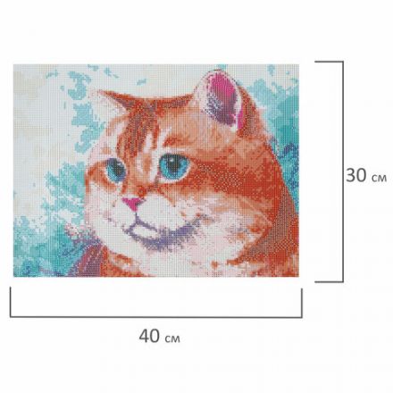 Картина стразами (алмазная мозаика), 30х40 см, ОСТРОВ СОКРОВИЩ "Кот", без подрамника, 663859 Картина стразами (алмазная мозаика), 30х40 см, ОСТРОВ СОКРОВИЩ "Кот", без подрамника, 663859