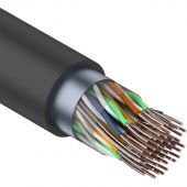 Кабель REXANT FTP 25PR 24AWG, CAT5, наружный (OUTDOOR), бухта 305 м Кабель REXANT FTP 25PR 24AWG, CAT5, наружный (OUTDOOR), бухта 305 м