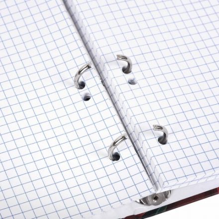 Тетрадь на кольцах А5 175х215 мм, 120 листов, твердый картон, фольга, клетка, BRAUBERG, "Pomegranate", 404720 Тетрадь на кольцах А5 175х215 мм, 120 листов, твердый картон, фольга, клетка, BRAUBERG, "Pomegranate", 404720