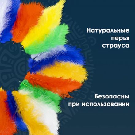 Перья декоративные страусиные, 10-12 см, 24 шт., 6 цветов, яркие, ассорти, ОСТРОВ СОКРОВИЩ, 661378 Перья декоративные страусиные, 10-12 см, 24 шт., 6 цветов, яркие, ассорти, ОСТРОВ СОКРОВИЩ, 661378