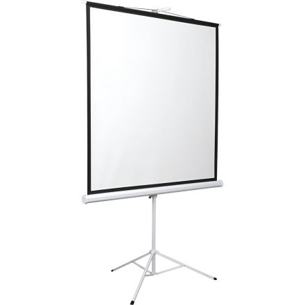 Экран мобильный Digis DSKD-4304, 4:3, 120 (248x190) Экран мобильный Digis DSKD-4304, 4:3, 120 (248x190)