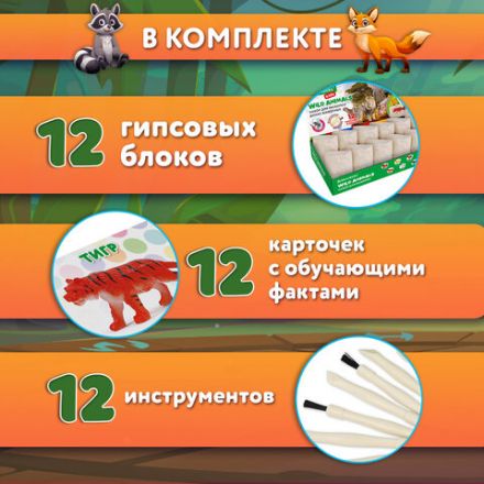 Набор для раскопок "Дикие животные", 12 видов, карточки, инструменты, BRAUBERG KIDS, 665128