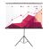 Экран Cactus Triscreen CS-PST-180x180, 180x180 см, 1:1, напольный, черный
