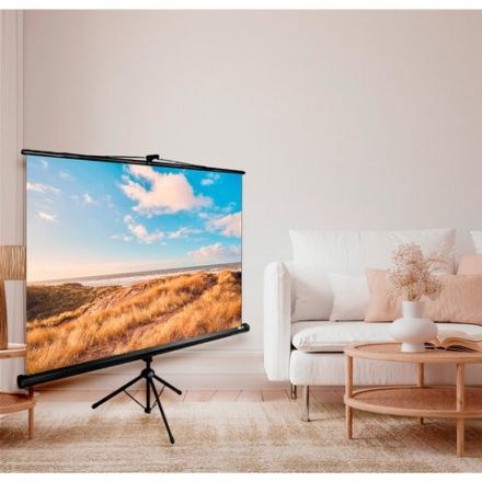 Экран Cactus Triscreen CS-PST-180x180, 180x180 см, 1:1, напольный, черный