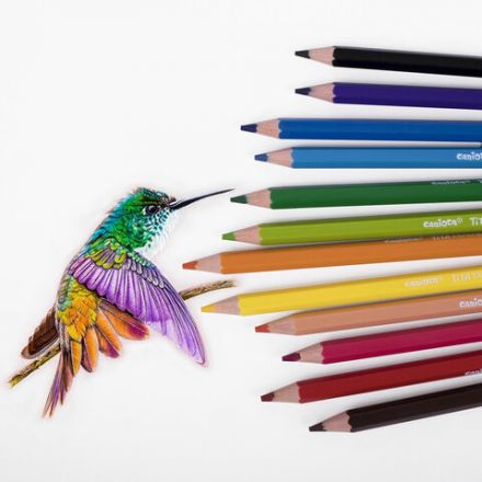 Карандаши цветные стираемые с резинкой CARIOCA "Erasable", 12 цветов, шестигранные, грифель 3 мм, 42897 Карандаши цветные стираемые с резинкой CARIOCA "Erasable", 12 цветов, шестигранные, грифель 3 мм, 42897