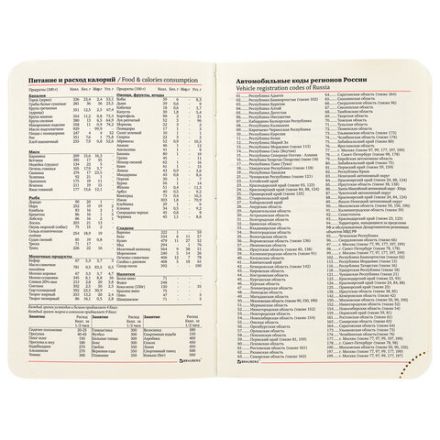 Ежедневник недатированный МАЛЫЙ 100х150 мм А6 BRAUBERG "Metropolis Ultra", под кожу, 160 л., розовый, 113302 Ежедневник недатированный МАЛЫЙ 100х150 мм А6 BRAUBERG "Metropolis Ultra", под кожу, 160 л., розовый, 113302