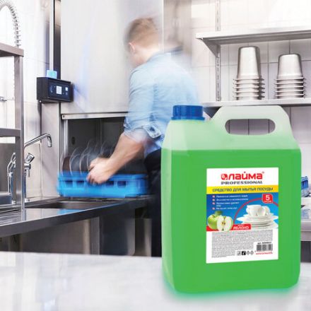 Средство для мытья посуды 5 л, LAIMA PROFESSIONAL, концентрат, "Яблоко", 604651 Средство для мытья посуды 5 л, LAIMA PROFESSIONAL, концентрат, "Яблоко", 604651