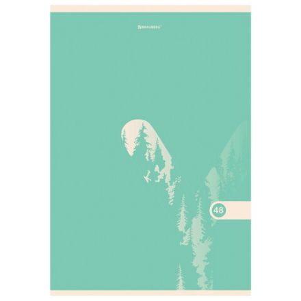 Тетрадь А4, 48 л., BRAUBERG, скоба, клетка, обложка картон, "PASTEL", 404041 Тетрадь А4, 48 л., BRAUBERG, скоба, клетка, обложка картон, "PASTEL", 404041
