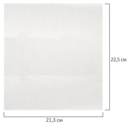 Полотенца бумажные 200 шт., LAIMA (H2) PREMIUM, 2-слойные, белые, КОМПЛЕКТ 21 пачка, 22,5х21,3 см, Z-сложение, 111339 Полотенца бумажные 200 шт., LAIMA (H2) PREMIUM, 2-слойные, белые, КОМПЛЕКТ 21 пачка, 22,5х21,3 см, Z-сложение, 111339