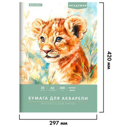 Папка для акварели БОЛЬШАЯ А3, 20 л., 200 г/м2, 297х420 мм, BRAUBERG АКАДЕМИЯ, "Львёнок", 117745