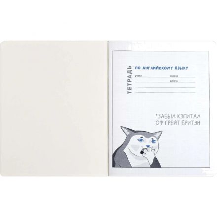 Тетрадь предметнaя АНГЛИЙСКИЙ ЯЗЫК'КОТЫ МЕМЫ'48л,А5+,кл,справ.инф/69828