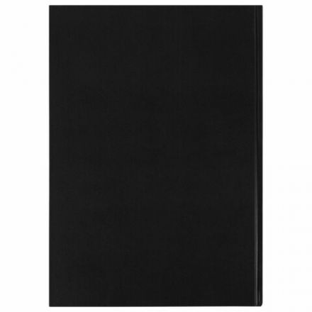 Книга учета 96 л., клетка, твердая, бумвинил, офсет, наклейка, А4 (200х290 мм), BRAUBERG, черная, 130278 Книга учета 96 л., клетка, твердая, бумвинил, офсет, наклейка, А4 (200х290 мм), BRAUBERG, черная, 130278
