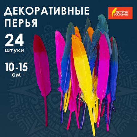 Перья декоративные прямые, 10-15 см, 24 шт., 6 цветов, двухцветные, ассорти, ОСТРОВ СОКРОВИЩ, 661381 Перья декоративные прямые, 10-15 см, 24 шт., 6 цветов, двухцветные, ассорти, ОСТРОВ СОКРОВИЩ, 661381