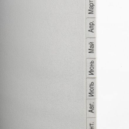 Разделитель пластиковый BRAUBERG, А4, 12 листов, Январь-Декабрь, оглавление, серый, РОССИЯ, 225599 Разделитель пластиковый BRAUBERG, А4, 12 листов, Январь-Декабрь, оглавление, серый, РОССИЯ, 225599