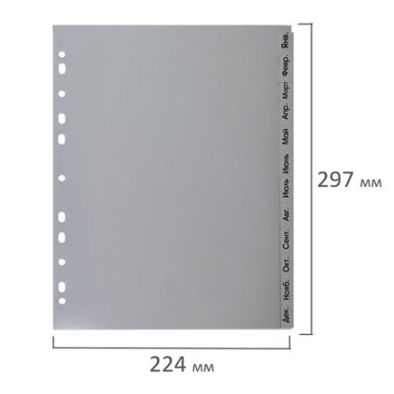 Разделитель пластиковый BRAUBERG, А4, 12 листов, Январь-Декабрь, оглавление, серый, РОССИЯ, 225599 Разделитель пластиковый BRAUBERG, А4, 12 листов, Январь-Декабрь, оглавление, серый, РОССИЯ, 225599