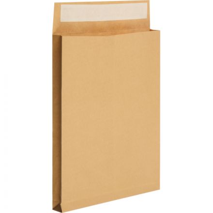 Пакет Крафт E4стрип Largepack300х400х40 120г 200шт/уп/6326 Пакет Крафт E4стрип Largepack300х400х40 120г 200шт/уп/6326