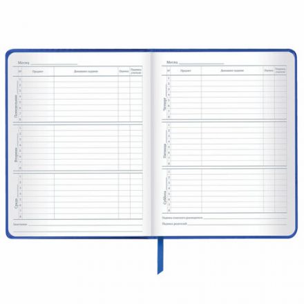 Дневник 1-11 класс 48 л., кожзам (твердая с поролоном), фольга, BRAUBERG HOLIDAY, "Веселый Кот", 106916