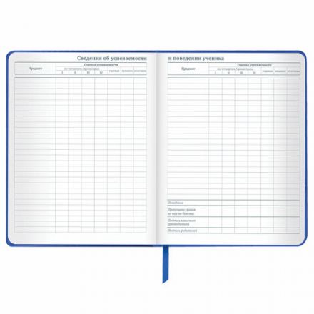 Дневник 1-11 класс 48 л., кожзам (твердая с поролоном), фольга, BRAUBERG HOLIDAY, "Веселый Кот", 106916