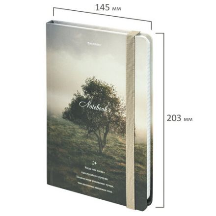 Блокнот с резинкой в клетку 96 л., А5 145х203 мм, твердая обложка, BRAUBERG, "Nature", 115534