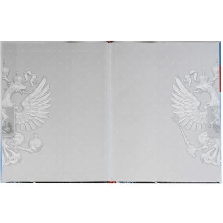 Дневник школьника СИМВОЛИКА МЕДВЕДЬ 7БЦ,А5+,48л,глянц. 69756